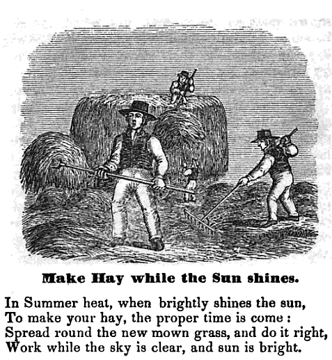 make-hay-while-the-sun-shines-from-the-hand-book-of-illustrated-proverbs-new-york-1857-by-john-w-barber