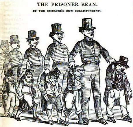 the-prisoner-bean-punch-or-the-london-charivari-1842