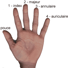 doigts-de-la-main