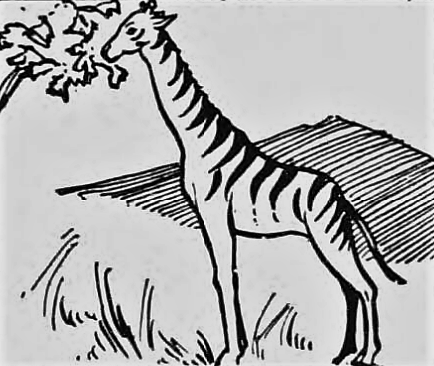 giraffe-derbyshire-times-12-november-1932