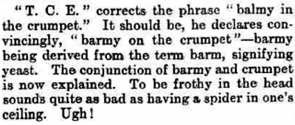 barmy-balmy - The Globe - 25 November 1902