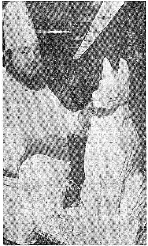 'enough to kill a brown dog' - The Canberra Times (Australian Capital Territory) - 20 May 1982