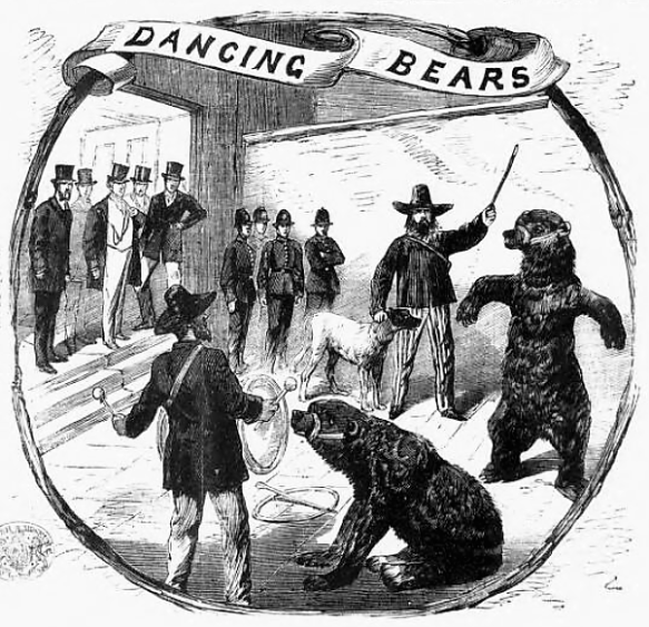 history of the phrase 'are you there with your bears?' | word