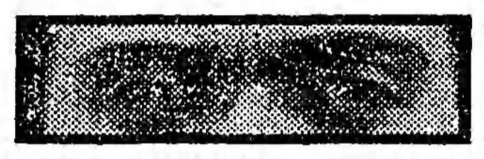 mystery man - The Guardian (London & Manchester, England) - 23 August 1983