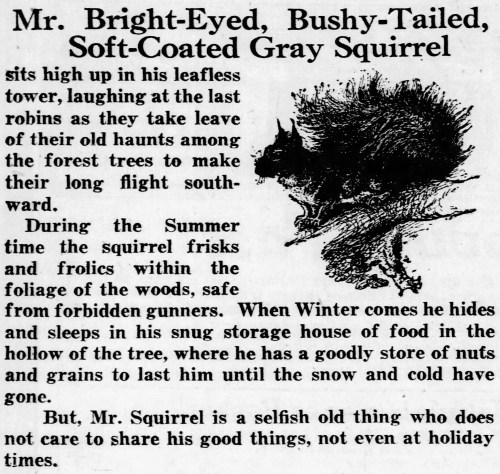 'bright-eyed bushy-tailed' - Philadelphia Inquirer (Pennsylvania) - 29 November 1920