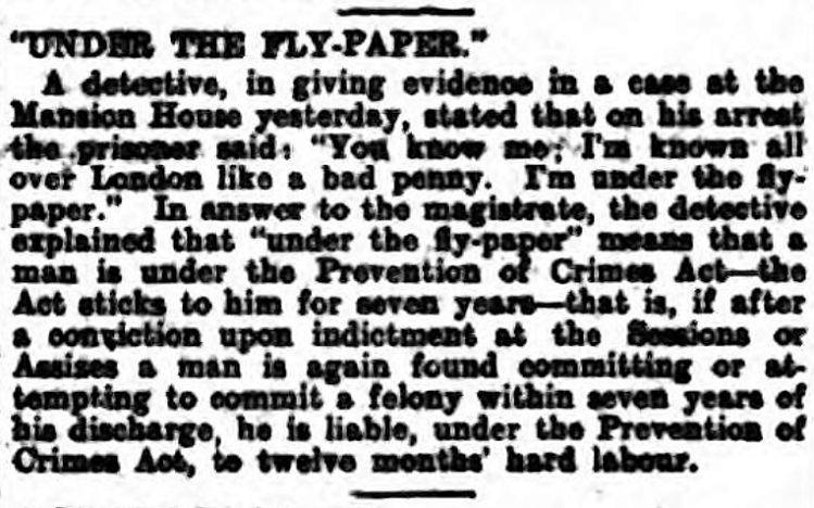 'under the flypaper' - The Southern Daily Echo (Southampton, Hampshire, England) - 17 October 1906