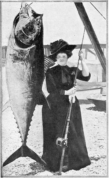 silly season’ - The Bystander (London) - 8 June 1910