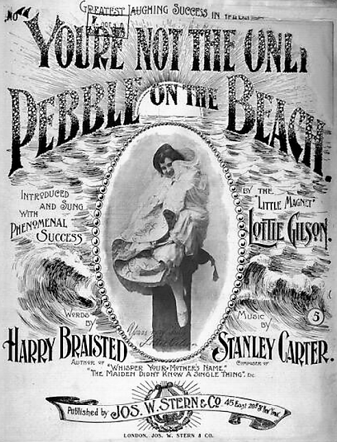 'You’re Not the Only Pebble on the Beach' sheet music (1896)